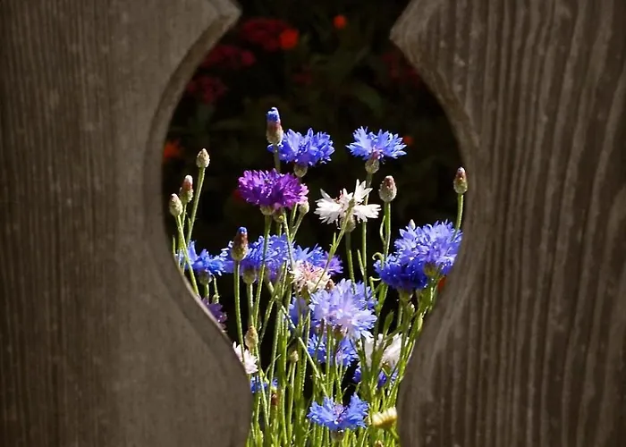 度假居 Chasa Macun Tschlin